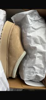 Ugg tazz slipper, Kleding | Dames, Schoenen, Ophalen of Verzenden, Zo goed als nieuw, Pantoffels of Sloffen