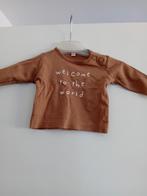 Zeeman Longsleeve Maat 50 - !, Zeeman, Jongetje of Meisje, Ophalen of Verzenden, Zo goed als nieuw