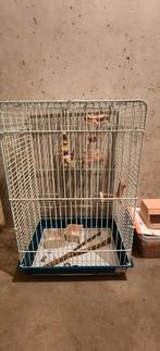 vogelkooi, Dieren en Toebehoren, Vogels | Hokken en Kooien, Ophalen of Verzenden, Gebruikt, Vogelkooi