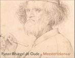 Pieter Bruegel de Oude - Meestertekenaar, Ophalen of Verzenden, Zo goed als nieuw, Schilder- en Tekenkunst