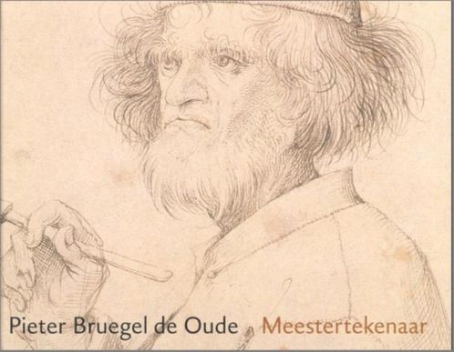 Pieter Bruegel de Oude - Meestertekenaar, Boeken, Kunst en Cultuur | Beeldend, Zo goed als nieuw, Schilder- en Tekenkunst, Ophalen of Verzenden