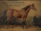 730. Litho, O. Eerelman– reclameposter paarden, ca. 1900, Antiek en Kunst, Ophalen of Verzenden