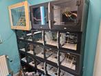 PVC TERRARIA Wegens verhuizing, Ophalen of Verzenden, Zo goed als nieuw, Terrarium of Paludarium