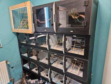 PVC TERRARIA Wegens verhuizing beschikbaar voor biedingen