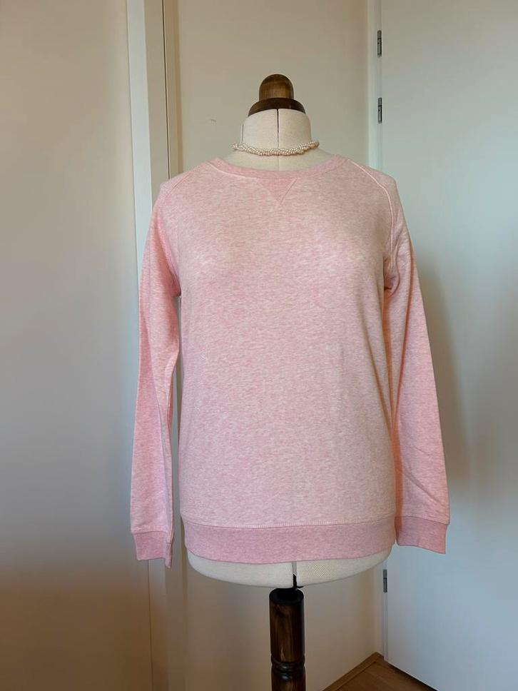 5 sweaters stanley lichtroze gemêleerd, Kleding | Dames, Truien en Vesten, Nieuw, Maat 42/44 (L), Roze, Ophalen of Verzenden