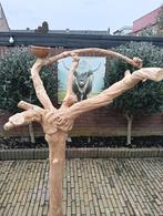 Java boom, Meerdere dieren, Papegaai