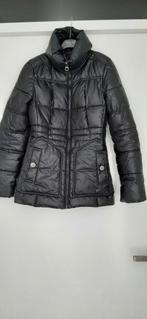 Mexx jas zwart 34, Kleding | Dames, Jassen | Winter, Mexx, Zwart, Ophalen of Verzenden, Zo goed als nieuw