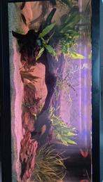 Aquarium juwel zwart 100 l, Ophalen, Zo goed als nieuw