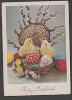 Pasen Zalig Paasfeest Kuikens Wilgenkatjes Eieren Ongelopen, Feest(dag), Ongelopen, Verzenden