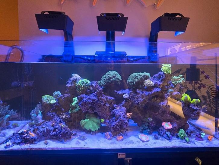 Zee aquarium Waterbox te koop 600L + HIGH END techniek, Dieren en Toebehoren, Vissen | Aquaria en Toebehoren, Zo goed als nieuw