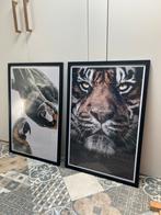 Poster set jungle dieren - papegaai en tijger, Ophalen, 50 tot 75 cm, Zo goed als nieuw, Minder dan 50 cm