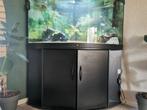 Juwel hoek aquarium 350 liter., Dieren en Toebehoren, Vissen | Aquaria en Toebehoren, Ophalen, Zo goed als nieuw, Gevuld zoetwateraquarium