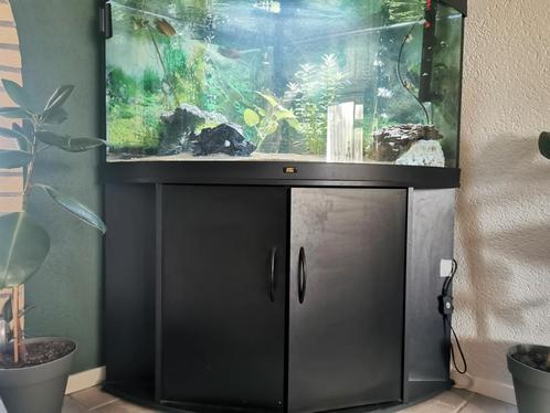 Juwel hoek aquarium 350 liter., Dieren en Toebehoren, Vissen | Aquaria en Toebehoren, Zo goed als nieuw, Gevuld zoetwateraquarium