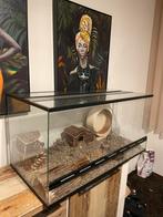 hamsterscape/terrarium, Dieren en Toebehoren, Reptielen en Amfibieën | Toebehoren, Ophalen of Verzenden, Zo goed als nieuw