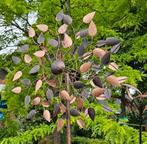 WINDMOLENS / VERSCHILLENDE MODELLEN / nieuw/ windspinner, Tuin en Terras, Windwijzers en Windmolens, Huis en tuin decoratie Marie