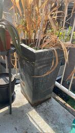 Grote plantenbak, Tuin en Terras, Ophalen, Rond, Kunststof, Minder dan 60 cm