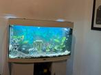 Juwel Aquarium 180 liter - Compleet, Dieren en Toebehoren, Vissen | Aquaria en Toebehoren, Ophalen, Gebruikt, Leeg aquarium