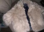 tommy hilfiger  teddy jas Maat 86, Kinderen en Baby's, Babykleding | Maat 86, Ophalen of Verzenden, Jasje