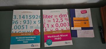 Rekenen voor Wiscat Pabo, rekenvaardigheid, statistiek WO beschikbaar voor biedingen