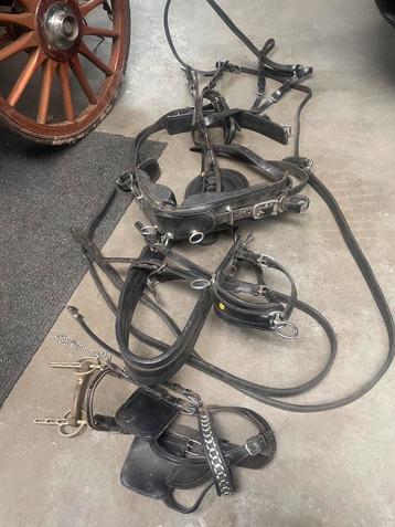 Nieuw enkelspan tuig beschikbaar voor biedingen