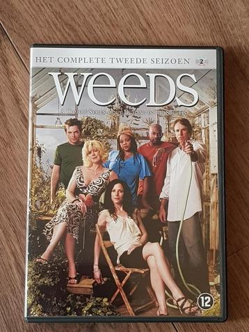 weeds complete tweede seizoen beschikbaar voor biedingen