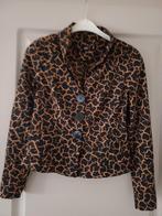 Lilytime/Moq, Ophalen of Verzenden, Zo goed als nieuw, Maat 38/40 (M), Zwart