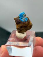 Cyanotrichite, Ophalen of Verzenden