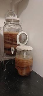 Kombucha scoby, Ophalen of Verzenden