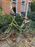 Batavus Damesfiets - Groen, Fietsen en Brommers, Batavus, Ophalen of Verzenden, 50 tot 53 cm, Gebruikt