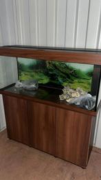Mooi aquarium met toebehoren, Ophalen, Zo goed als nieuw, Leeg aquarium