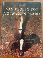 Van Veulen tot Volwassen Paard - Janet Lorch, Boeken, Ophalen of Verzenden, Gelezen, Overige onderwerpen