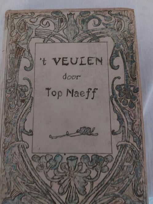 ' t Veulen - Top Naeff, Boeken, Romans, Gelezen, Nederland, Ophalen of Verzenden