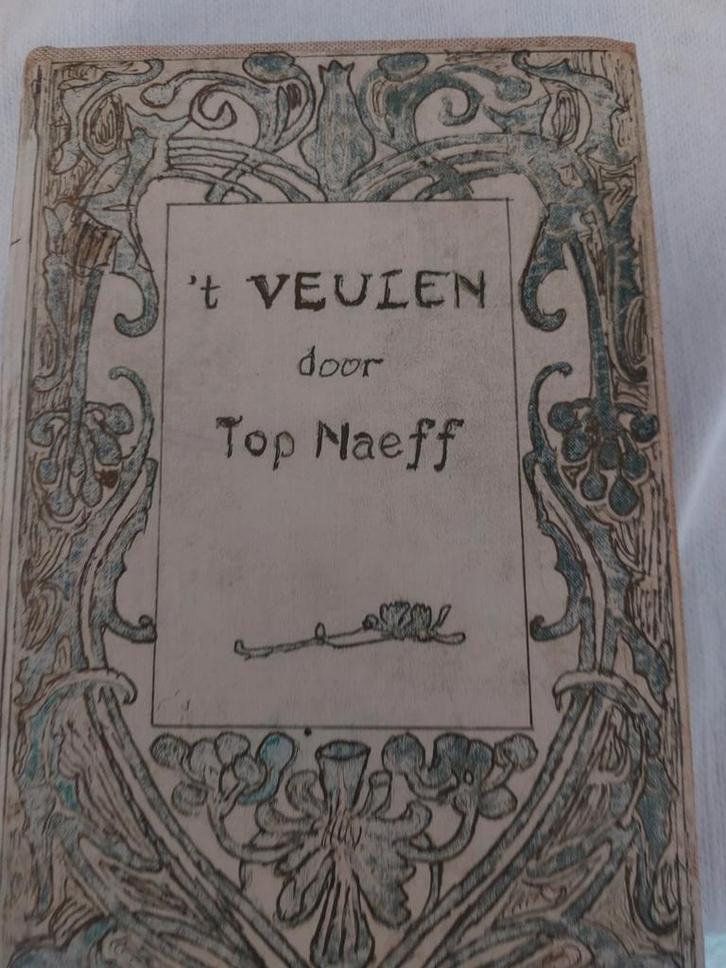 ' t Veulen - Top Naeff, Boeken, Romans, Gelezen, Nederland, Ophalen of Verzenden