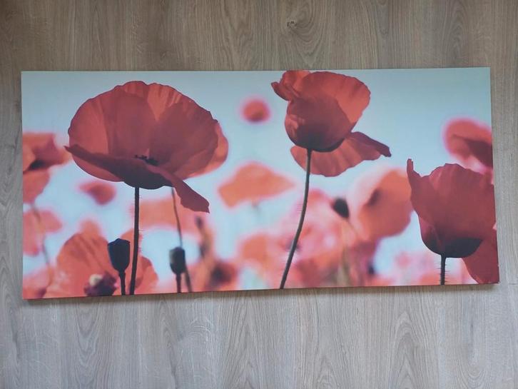 Mooie bloemen canvas print PJÄTTERYD, Huis en Inrichting, Woonaccessoires | Schilderijen, Tekeningen en Foto's, Gebruikt, Print