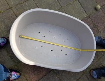 2 honden manden beschikbaar voor biedingen