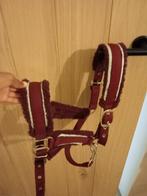 Halster maat Pony, Dieren en Toebehoren, Ophalen, Gebruikt, Overige soorten