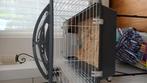 Cavia/konijnen kooi, Dieren en Toebehoren, Januari
