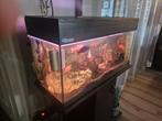 Aquarium compleet, Dieren en Toebehoren, Vissen | Aquaria en Toebehoren, Ophalen, Gebruikt, Gevuld zoetwateraquarium