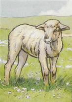 Ongelopen Ansichtkaart Lam van het leesplankje (B3958 ) - 2, Ophalen of Verzenden, 1980 tot heden, Ongelopen