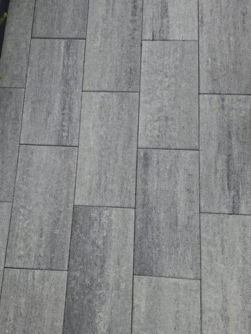 Tuintegels 30x60x4cm  beschikbaar voor biedingen