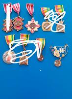 Carnavalsmedaille Lummel Kribke 7st Mestreech, Postzegels en Munten, Penningen en Medailles, Ophalen of Verzenden, Overige materialen