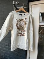 Scotch R’Belle trui licht grijs, maat 164, Kinderen en Baby's, Kinderkleding | Maat 164, Meisje, Trui of Vest, Ophalen of Verzenden