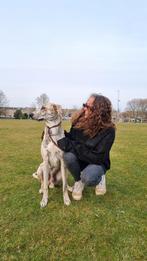 Dringend op zoek naar woning