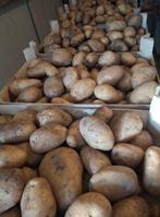 Nieuwe oogst aardappelen frieslanders, Ophalen of Verzenden