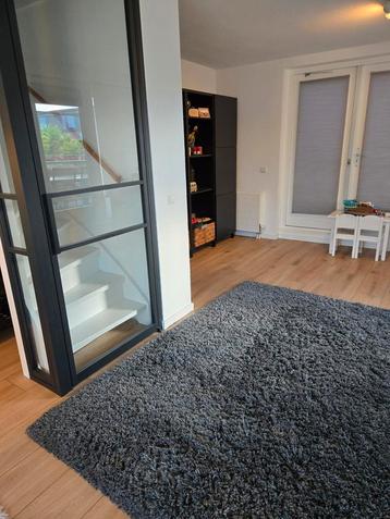 Hoogpolig kleed grijs 170x240 cm