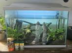 Aquarium Superfish 60 liter! Incl. diverse toebehoren!, Ophalen, Leeg aquarium