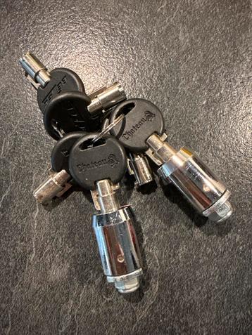 2 Cilinders voor Opslagboxen beschikbaar voor biedingen