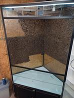 groot Hoekterrarium, Dieren en Toebehoren, Ophalen, Gebruikt, Terrarium of Paludarium
