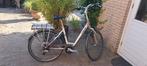 Elektrische damesfiets, Fietsen en Brommers, Elektrische fietsen, Overige merken, Gebruikt, Ophalen of Verzenden, 47 tot 51 cm