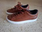Schoenen Tommy Hillfiger maat 41, Ophalen, Zo goed als nieuw, Bruin